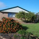 Lemontree Cottage - Sydney 4u 0