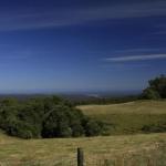Otway Junction Motor Inn - Accommodation Sydney 0