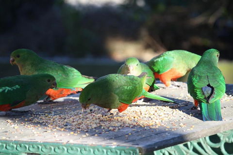 Omeo Motel - Sydney 4u 4