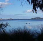 Lilacs Waterfront Villas  Cottages