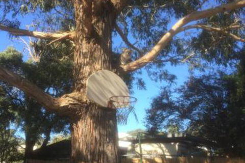 Inverloch Motel - Accommodation Sydney 5