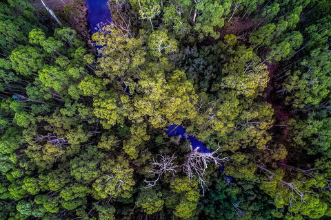 Saintys Creek Cottage - Sydney Resort 4