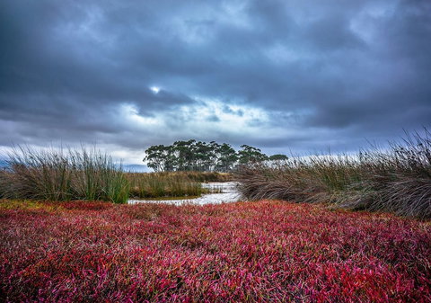 Saintys Creek Cottage - Sydney Resort 0