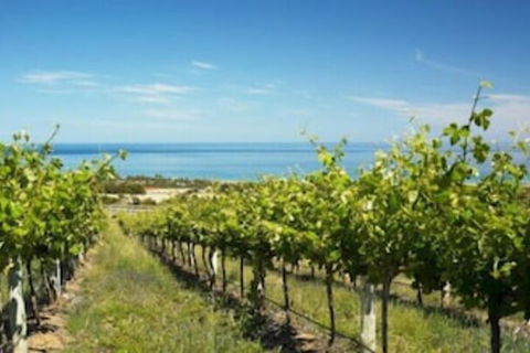 McLaren Vale Backpackers - Sydney 4u 6