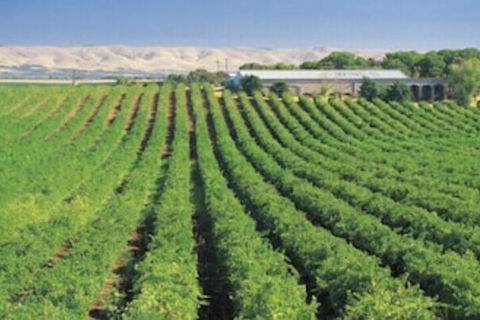 McLaren Vale Backpackers - Sydney 4u 4