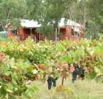 Fergies Hill Spa Cottage at Granite Ridge Wines - Sydney 4u