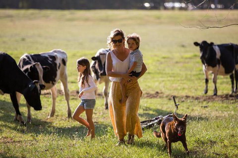 Redgate Forest Retreat - Accommodation Sydney 4