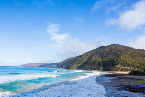 Wye Not Escape - Sydney 4u 4
