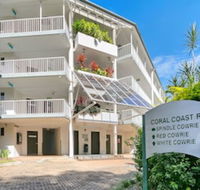 214 Spindle Cowrie - Accommodation Sydney