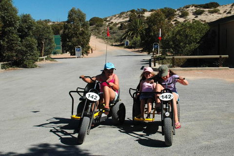 Ceduna Shelly Beach Caravan Park - Sydney 4u 4