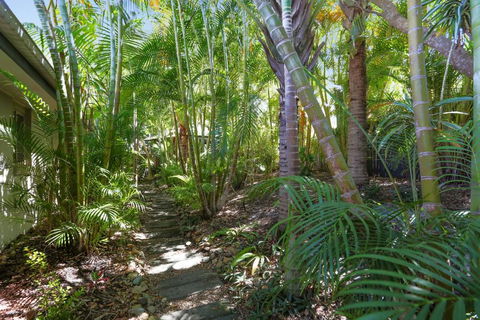 Palm Trees Noosa - Accommodation Sydney 6