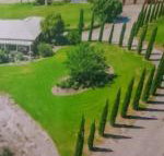 Gaerwood B  B - Accommodation Sydney