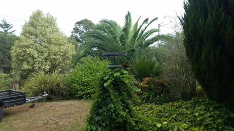 Cottage By The Bay - Accommodation Sydney 2