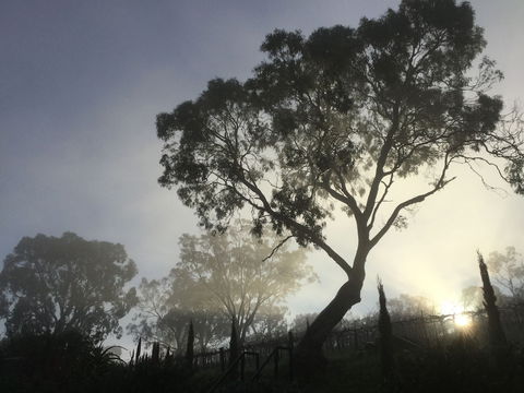 Barossa White House - Sydney 4u 3