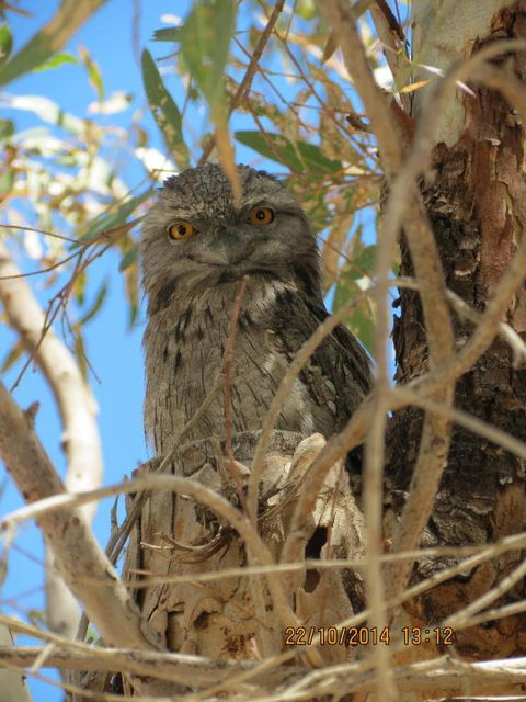Kalbarri Tudor Holiday Park - Accommodation Sydney 3
