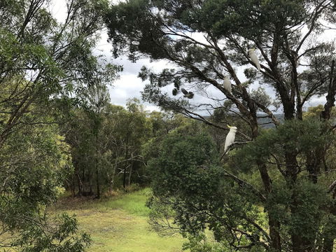 Kookaburra Retreat - Accommodation Sydney 5