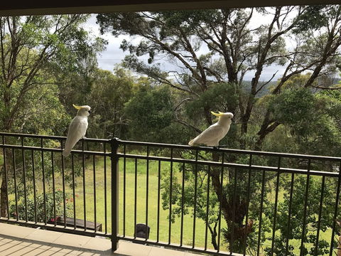 Kookaburra Retreat - Accommodation Sydney 4