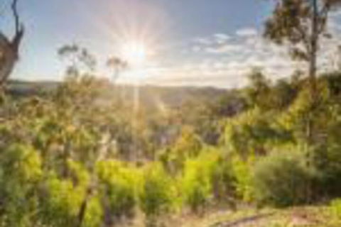 Skillogalee - Sydney 4u 0