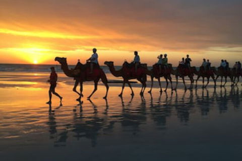 Beach House On Fox - Sydney 4u 0