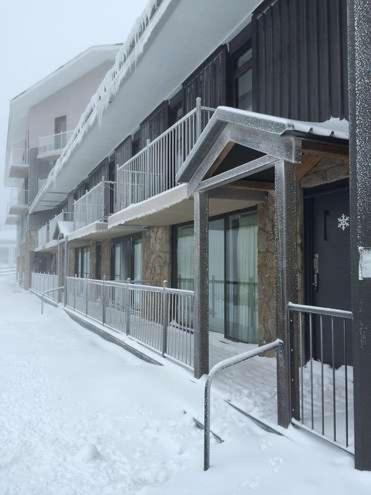 Molonys 12 - Accommodation Sydney 1