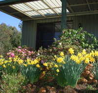 Nannup Riverview Cottage - Sydney Resort