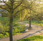 A Suite Spot in the Hills - Accommodation Sydney