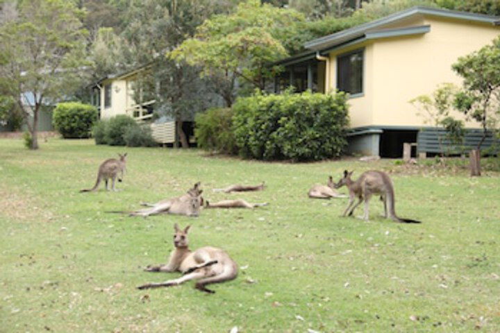 Depot Beach NSW Accommodation Sydney