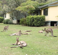 Depot Beach Cabins - Accommodation Sydney
