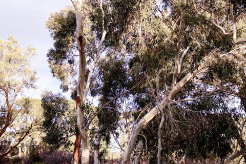 Harts Farm - Accommodation Sydney 5