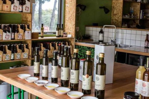 Harts Farm - Accommodation Sydney 4