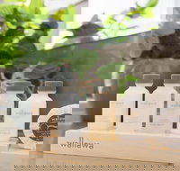 Boutique Stays - Caulfield Central - Accommodation Sydney