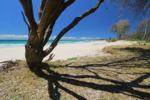 Serenity 3 Bedroom Holiday Apartment - Accommodation Sydney 0