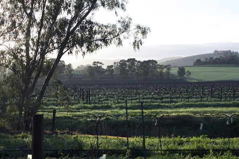 Jasmine's Cottage - Accommodation Sydney 0