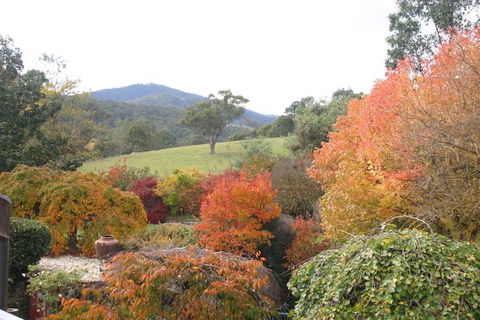 Riverhouse At Howqua Dale - Accommodation Sydney 5