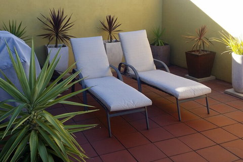 High On Penguin - Accommodation Sydney 6