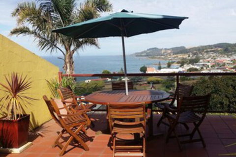 High On Penguin - Accommodation Sydney 0