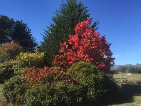 Highgrove - Sydney 4u 2
