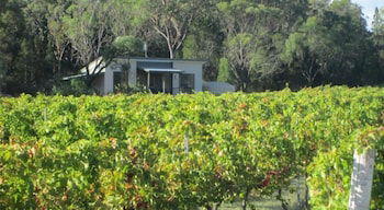 Just Red Wines Vineyard Cabins - Accommodation Sydney 3