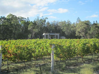 Just Red Wines Vineyard Cabins - Accommodation Sydney 5