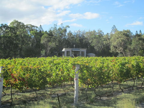 Just Red Wines Vineyard Cabins - Accommodation Sydney 6