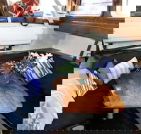 Coral Sea Dreaming Dive and Sail - Accommodation Sydney