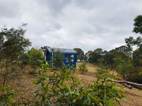 In2thewild - Walden - Sydney 4u 2