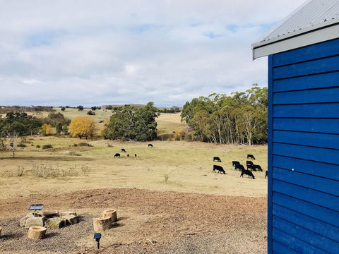In2thewild - Walden - Sydney 4u 7