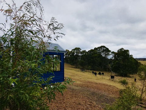 In2thewild - Walden - Sydney 4u 1