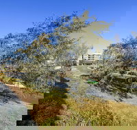 Accommodate Canberra The Summit - Accommodation Sydney