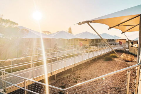 Discovery Rottnest Island - Sydney Resort 5