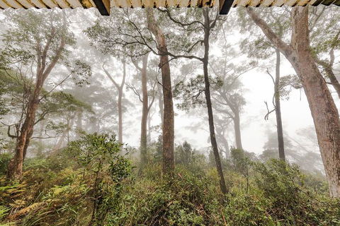 The Chalet - Accommodation Sydney 1