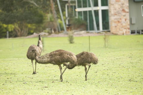 Ironstone Romantic Couples Retreat - Sydney 4u 1