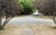 Somerset Caravan Park - thumb 7