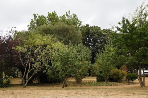 Somerset Caravan Park - Accommodation Sydney 4